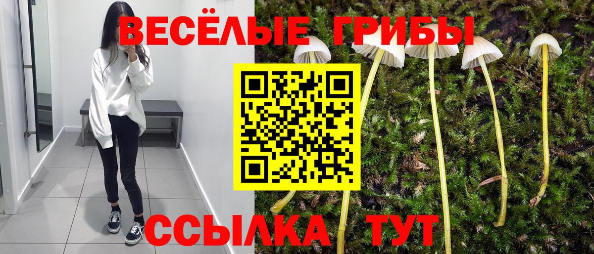 Галлюциногенные грибы Cubensis  Вход с VPN  Лесной 