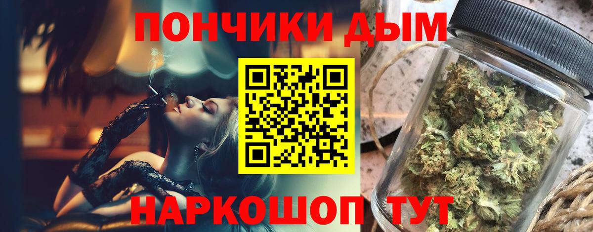 Конопля конопля Лесной